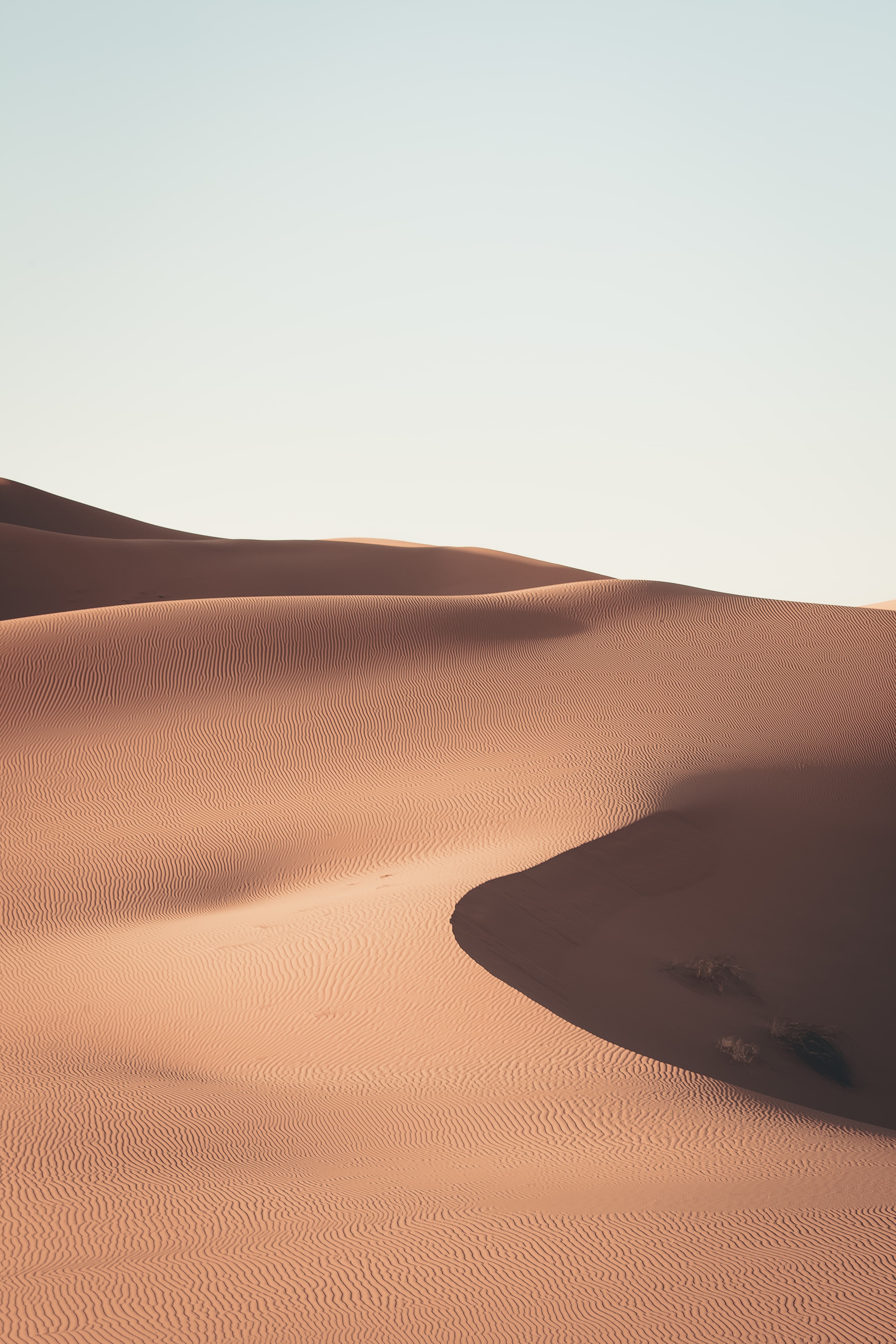 Abstract representation of Saudi landscapes