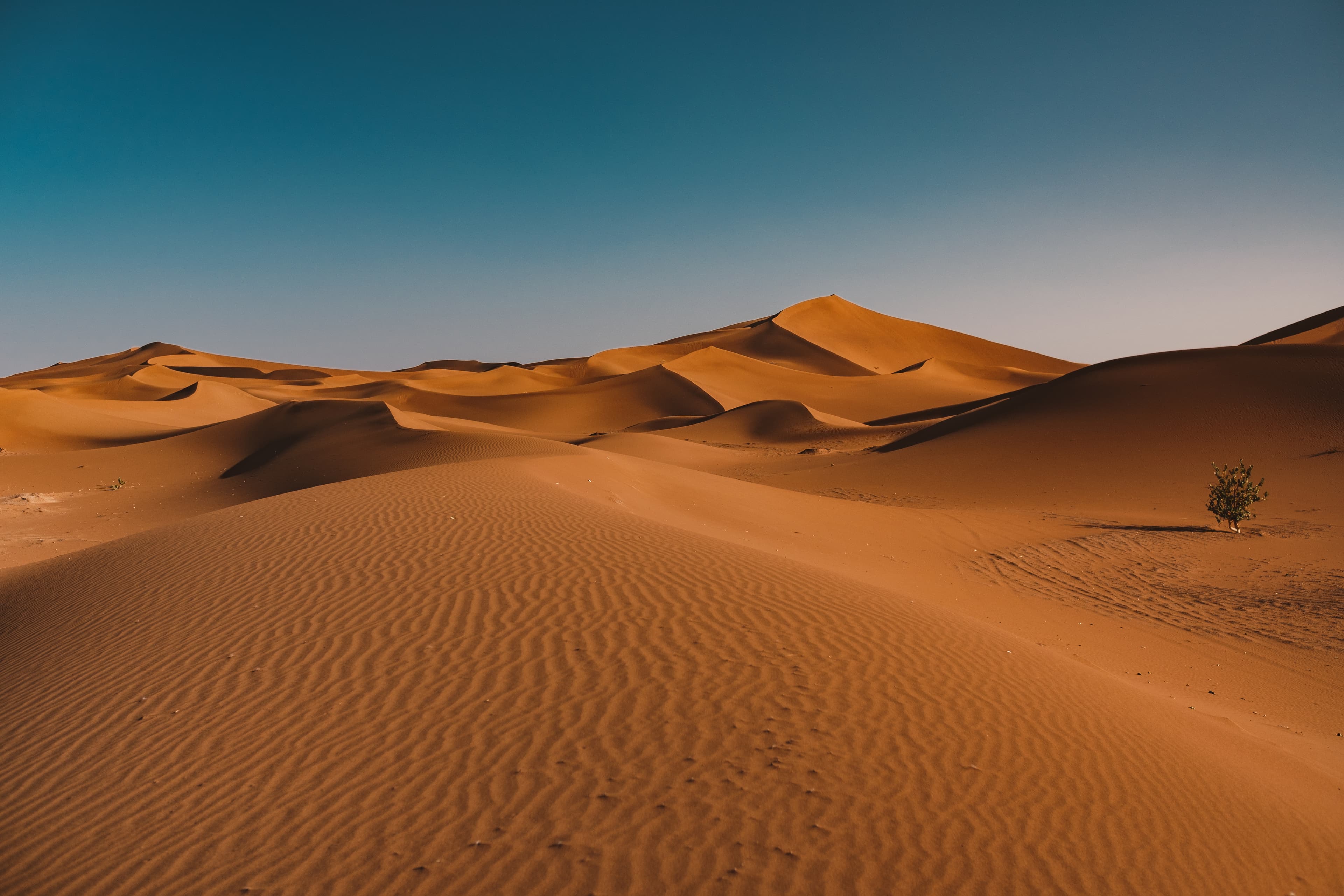 Saudi Desert Dunes